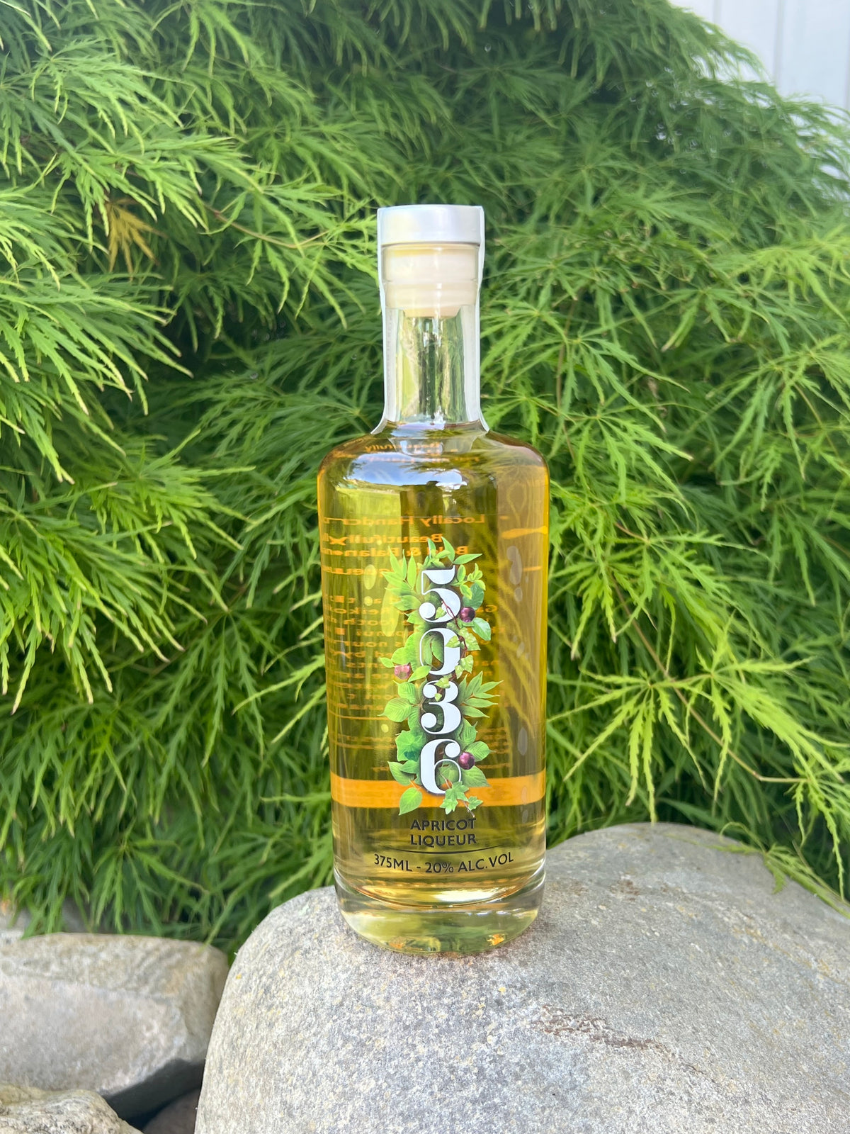 375ml - Apricot Liqueur